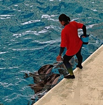 横浜・八景島シーパラダイスに投稿された画像（2021/4/30）