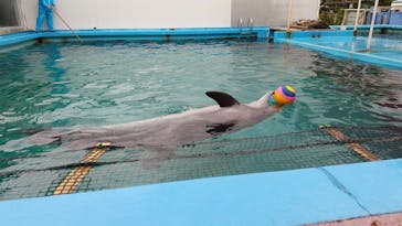 ゼロ距離水族館 伊勢シーパラダイスに投稿された画像（2021/4/30）