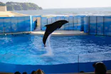 新江ノ島水族館に投稿された画像（2021/5/1）