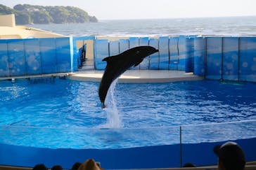新江ノ島水族館に投稿された画像（2021/4/30）
