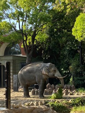 よこはま動物園ズーラシアに投稿された画像（2021/4/30）
