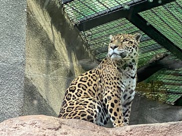 那須どうぶつ王国に投稿された画像（2021/5/1）