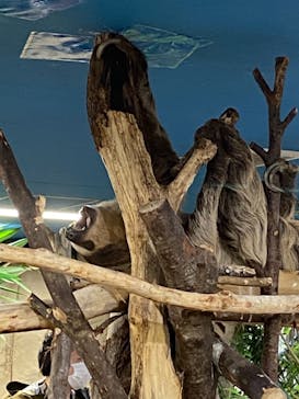 那須どうぶつ王国に投稿された画像（2021/5/1）