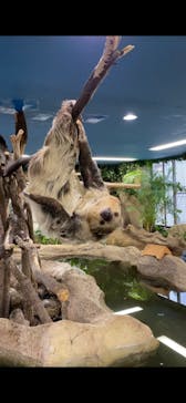 那須どうぶつ王国に投稿された画像（2021/5/1）