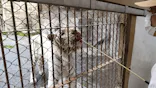東武動物公園に投稿された画像（2021/5/1）