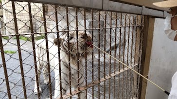 東武動物公園に投稿された画像（2021/5/1）