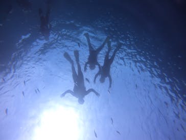 武藤潜水に投稿された画像（2021/5/1）