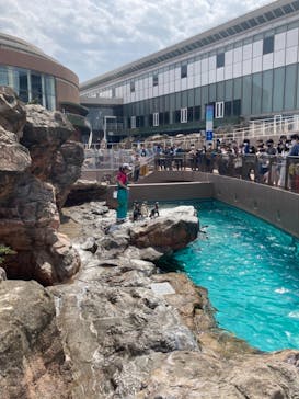 アクアワールド茨城県大洗水族館に投稿された画像（2021/5/1）