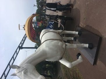 伊豆ぐらんぱる公園に投稿された画像（2021/5/1）