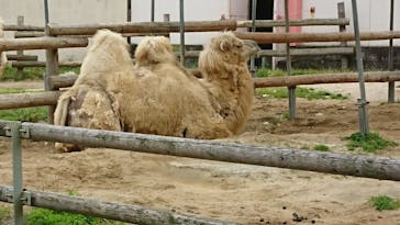 東武動物公園に投稿された画像（2021/5/1）