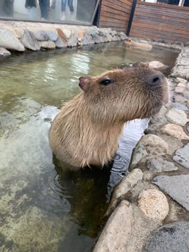 那須どうぶつ王国に投稿された画像（2021/5/1）