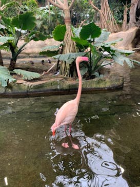 那須どうぶつ王国に投稿された画像（2021/5/1）