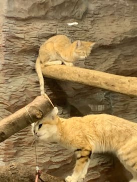 那須どうぶつ王国に投稿された画像（2021/5/1）