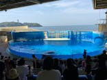 新江ノ島水族館に投稿された画像（2021/5/1）
