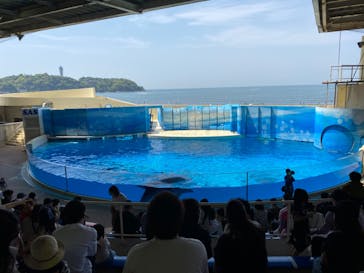 新江ノ島水族館に投稿された画像（2021/5/1）