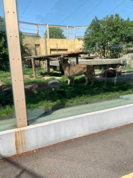 東武動物公園に投稿された画像（2021/5/1）