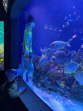 新江ノ島水族館に投稿された画像（2021/5/1）