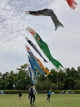 千葉こどもの国 キッズダムに投稿された画像（2021/5/1）