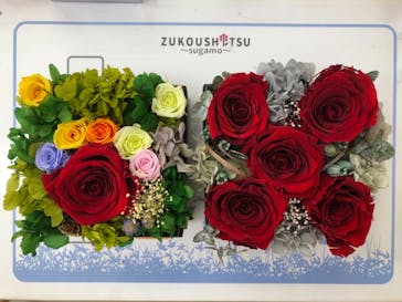 ずこうしつ〜sugamo〜に投稿された画像（2021/5/1）