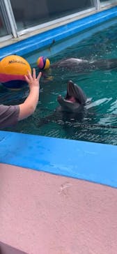 ゼロ距離水族館 伊勢シーパラダイスに投稿された画像（2021/5/1）