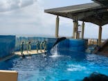 新江ノ島水族館に投稿された画像（2021/5/1）