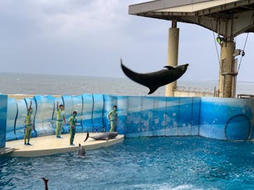 新江ノ島水族館に投稿された画像（2021/5/1）