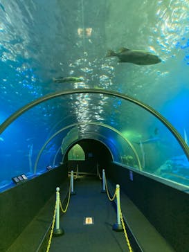 串本海中公園水族館に投稿された画像（2021/5/1）