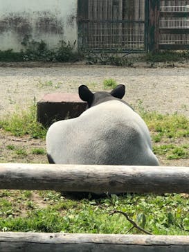 東武動物公園に投稿された画像（2021/5/1）