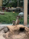 東武動物公園に投稿された画像（2021/5/1）
