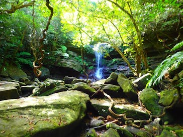 西表島 ADVENTURE PiPi（アドベンチャーピピ）に投稿された画像（2021/5/1）