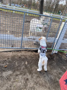 ノーザンホースパークに投稿された画像（2021/5/1）