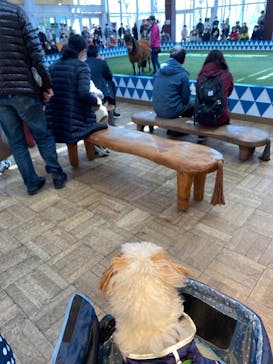 ノーザンホースパークに投稿された画像（2021/5/1）