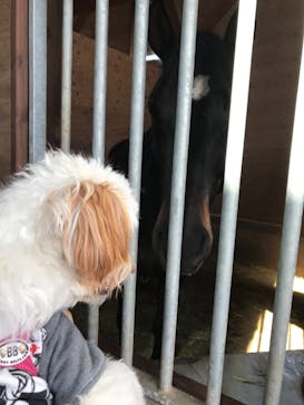 ノーザンホースパークに投稿された画像（2021/5/1）