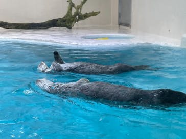 鳥羽水族館に投稿された画像（2021/5/2）