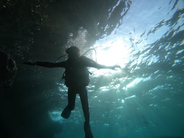 武藤潜水に投稿された画像（2021/5/2）