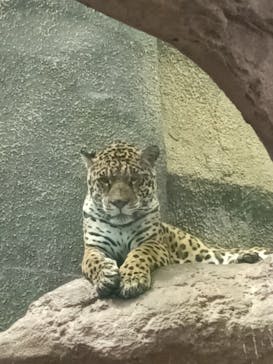 那須どうぶつ王国に投稿された画像（2021/5/2）