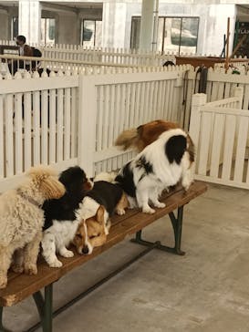 那須どうぶつ王国に投稿された画像（2021/5/2）