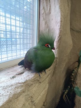 那須どうぶつ王国に投稿された画像（2021/5/2）