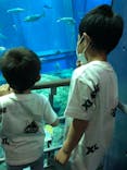 アクアワールド茨城県大洗水族館に投稿された画像（2021/5/2）