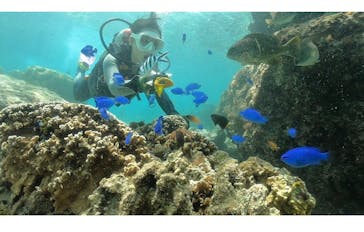 DIVING-SHOP SUNSに投稿された画像（2021/5/2）