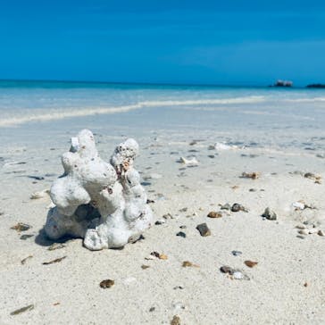 石垣島 ADVENTURE PiPi（イシガキジマアドベンチャーピピ）に投稿された画像（2021/5/2）