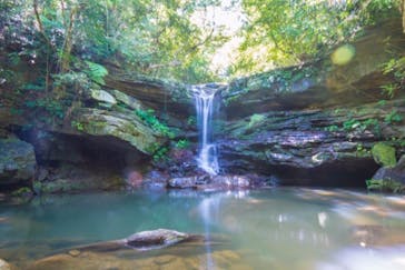 西表島 ADVENTURE PiPi（アドベンチャーピピ）に投稿された画像（2021/5/2）