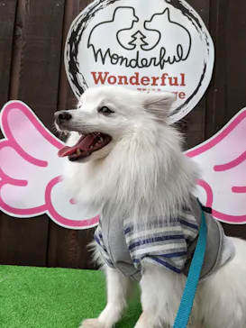 わんダフルネイチャーヴィレッジに投稿された画像（2021/5/2）