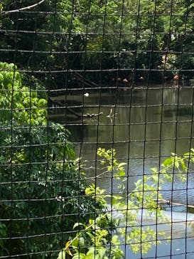 ネオパークオキナワに投稿された画像（2021/5/2）