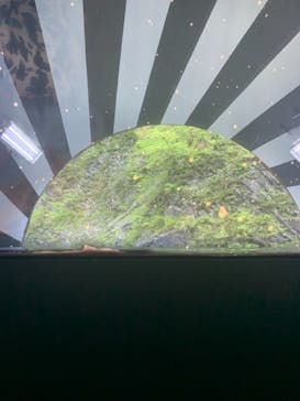 清津峡渓谷トンネルに投稿された画像（2021/5/2）