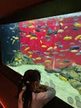カワスイ 川崎⽔族館に投稿された画像（2021/5/2）