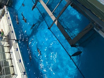 横浜・八景島シーパラダイスに投稿された画像（2021/5/2）