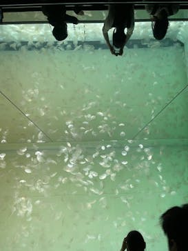 アクアワールド茨城県大洗水族館に投稿された画像（2021/5/2）