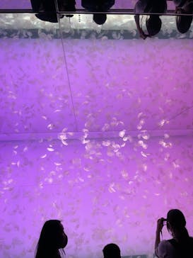 アクアワールド茨城県大洗水族館に投稿された画像（2021/5/2）