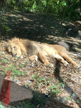 よこはま動物園ズーラシアに投稿された画像（2021/5/2）